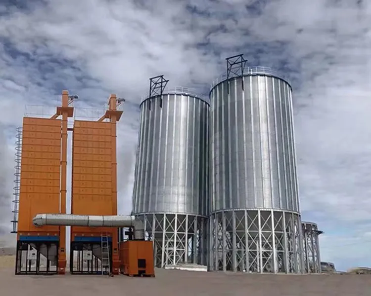 Rice Dryer